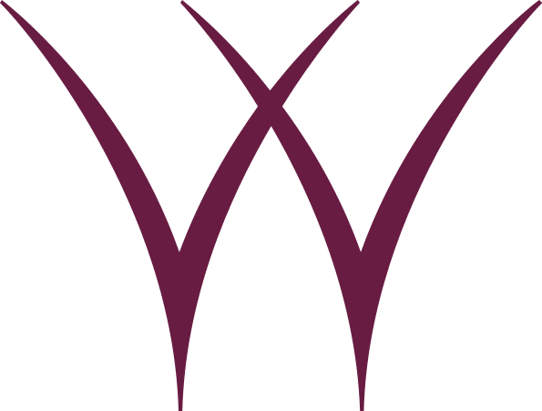 WNY Women's Foundation